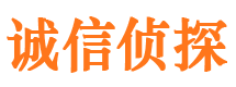 江达市调查公司